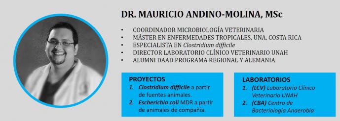 DR. MAURICIO ANDINO